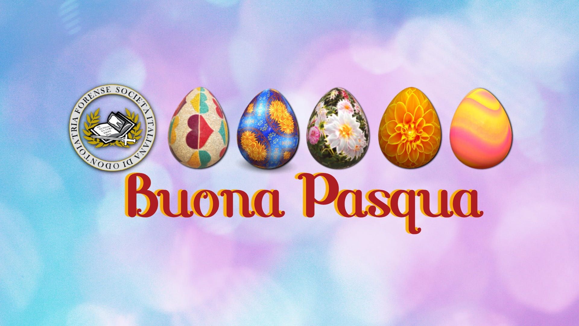 images/immagini/Buona_Pasqua_a_tutti_da_SIOF-2026.jpg#joomlaImage://local-images/immagini/Buona_Pasqua_a_tutti_da_SIOF-2026.jpg?width=1920&height=1081
